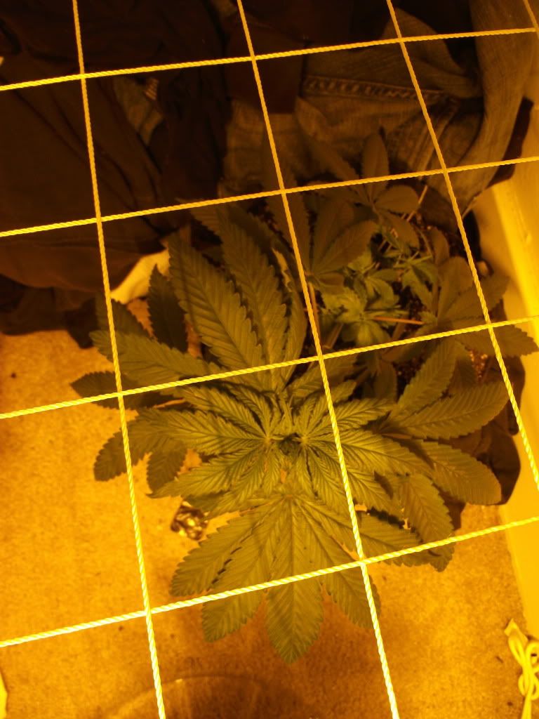 DSCF3057.jpg