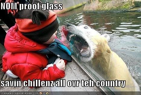 funny-pictures-polar-bear-kid-glass.jpg