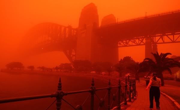 red2.jpg