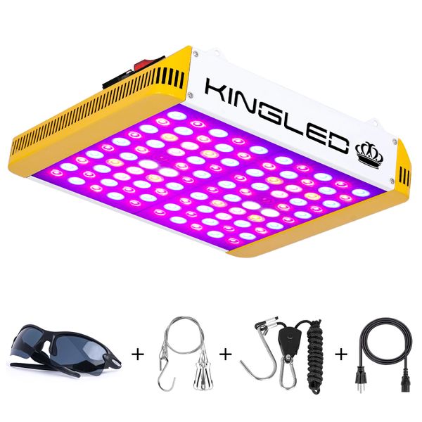 kingledlights.com