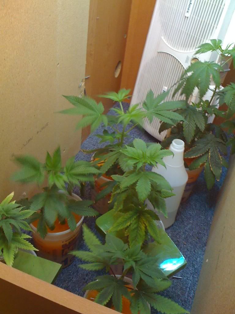 Picture002.jpg