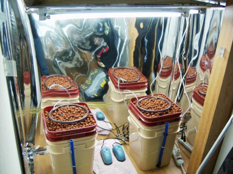 growroom001.jpg