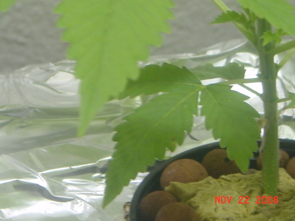 DSC02102.jpg