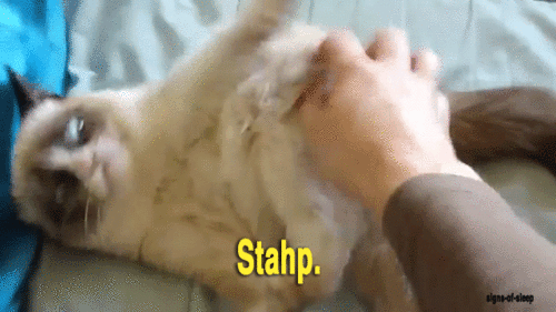 tumblr_mfq7hhZZei1rgi3gio1_500.gif