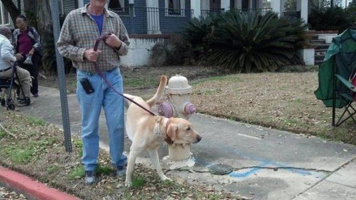acid_picdump_02.jpg