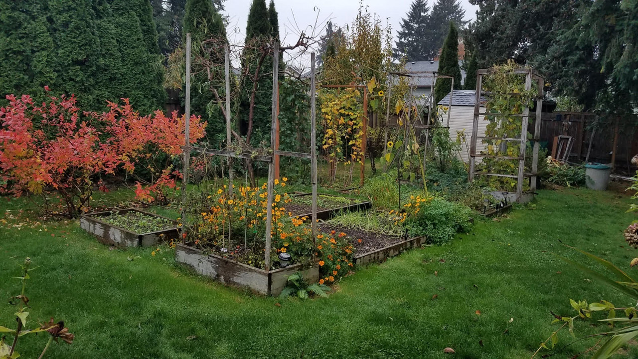 garden10272021.jpg