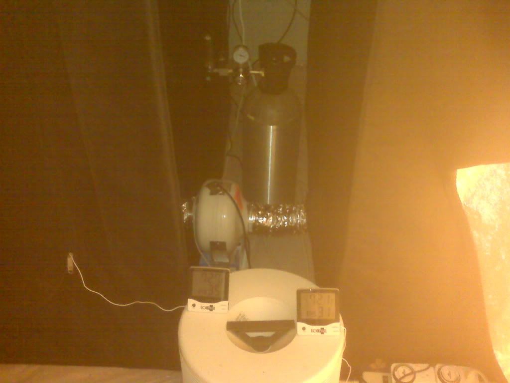IMG00263.jpg