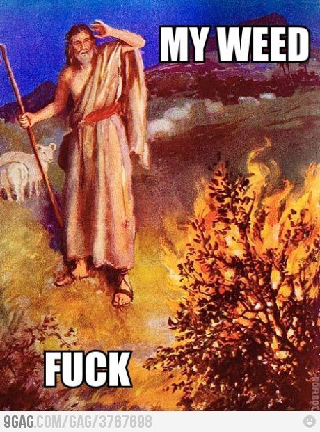 tumblr_m2abvjSTGw1rtaso1o1_500.jpg