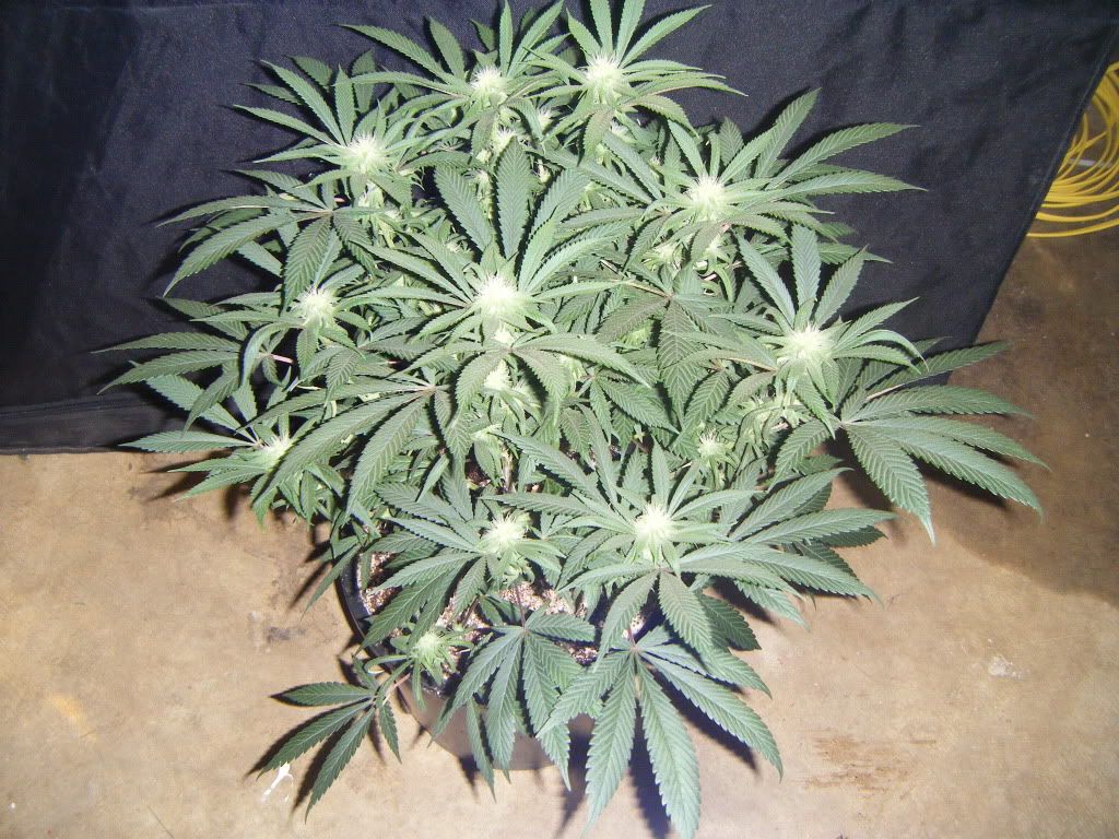 DSCF8544.jpg