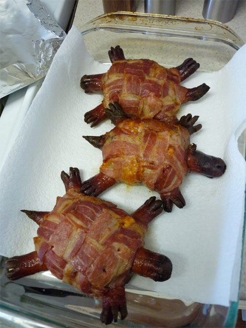 BaconTurles3.jpg