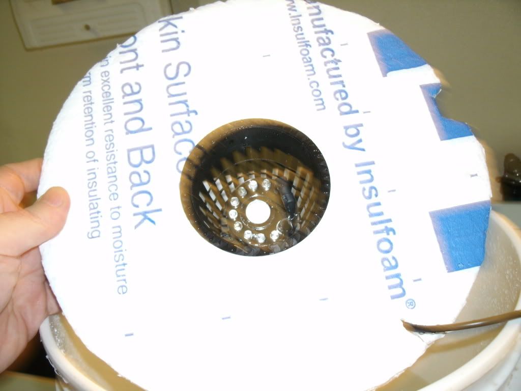 GEDC0016.jpg