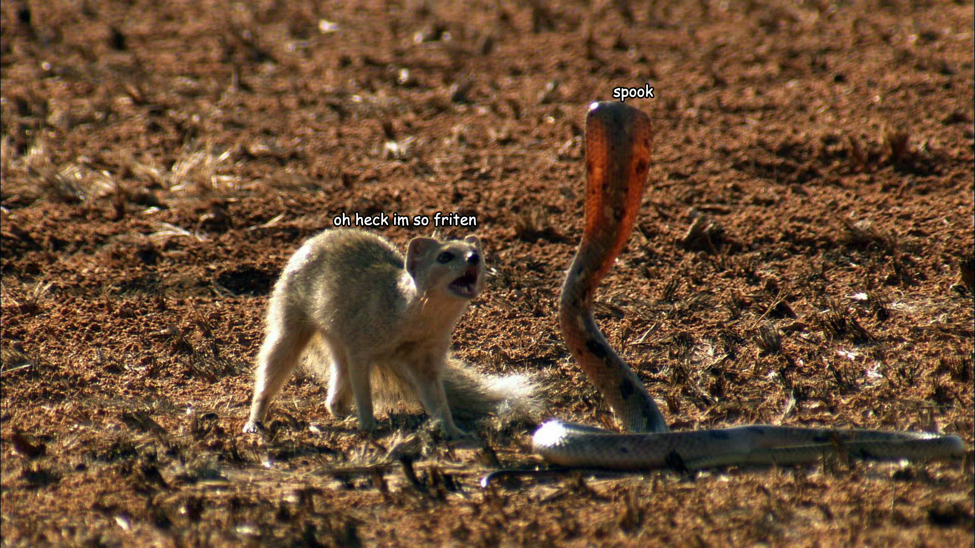 GJdJKGq.jpg