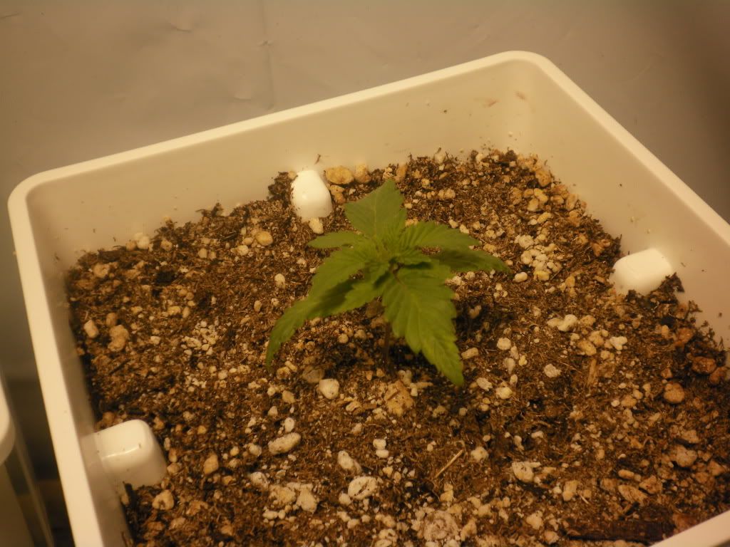10-15-11005.jpg
