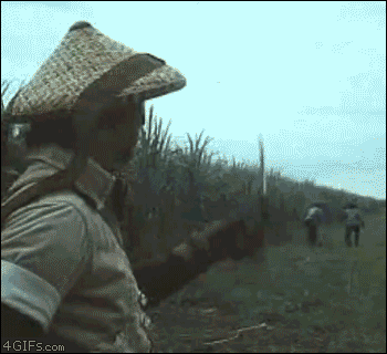 q7L1gET.gif