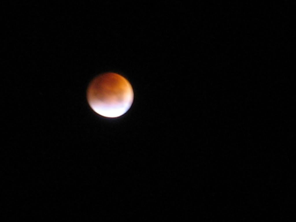 IMG_2258.jpg
