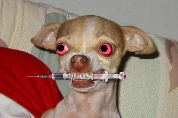 JUNKIEDog-1.jpg