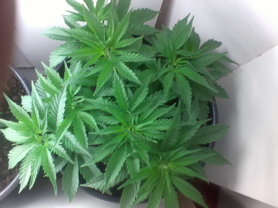 2012_11_23_11_12_52.jpg