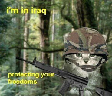 kittysoldier.jpg