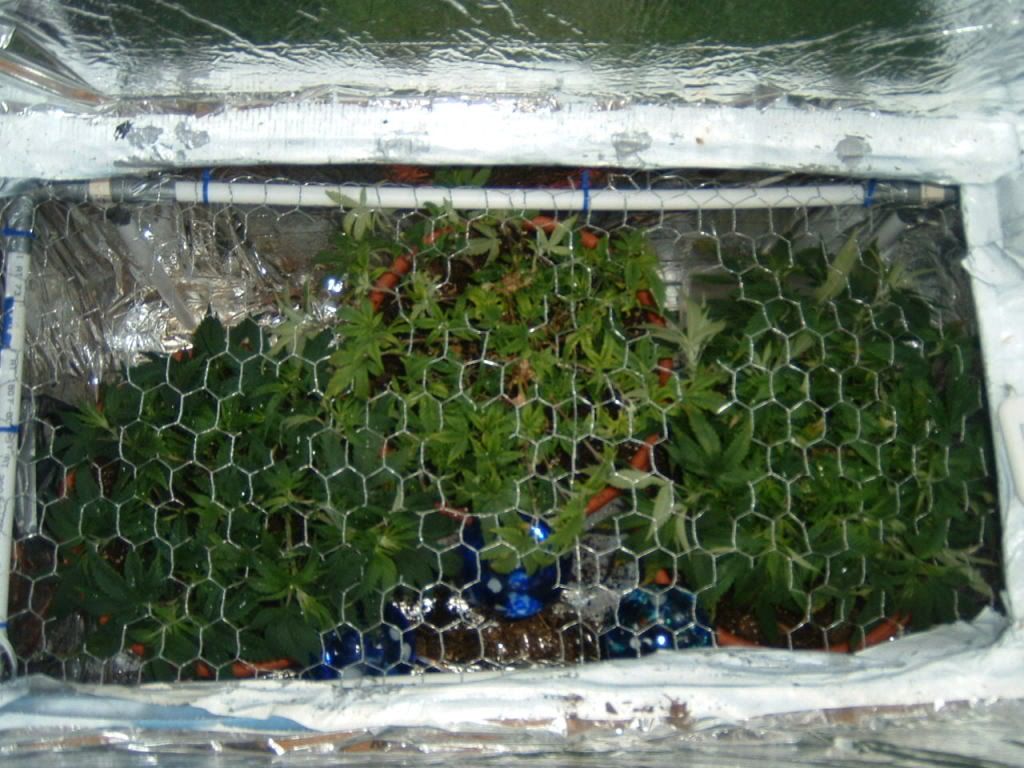 DSCF0013.jpg