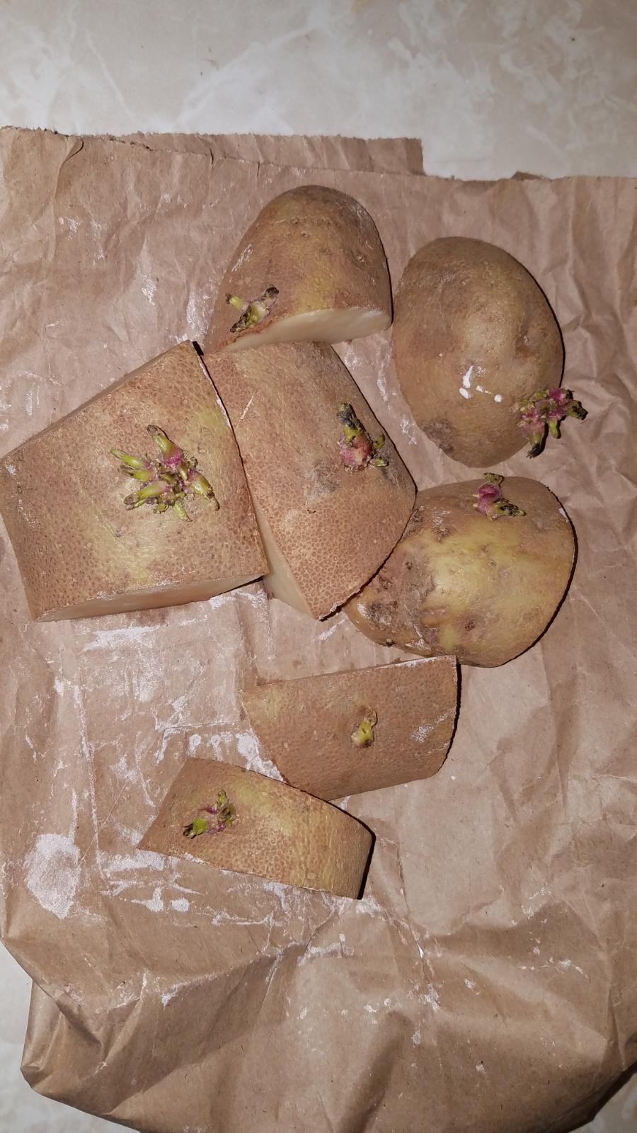 potatoburbankslices.jpg