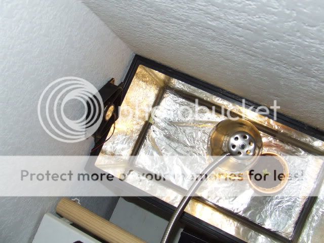 DSCF1599.jpg