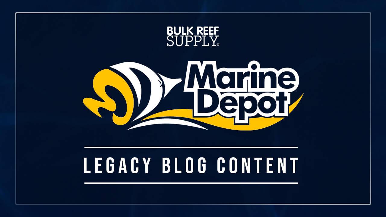 blog.marinedepot.com