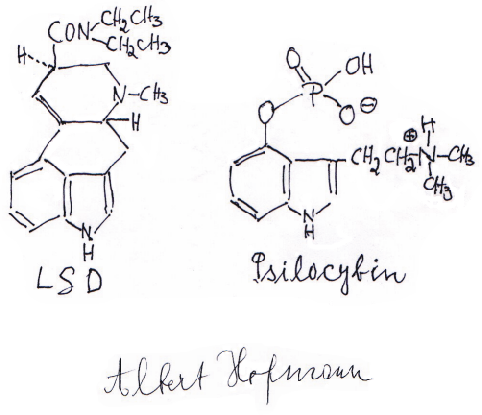 Hofmann.gif