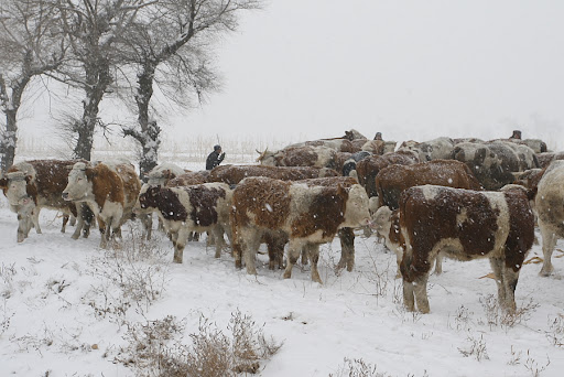 Jilin282.JPG