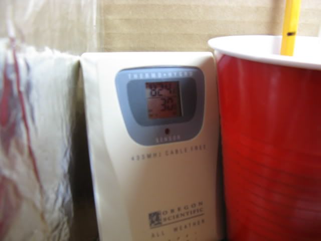 cfl011-1.jpg