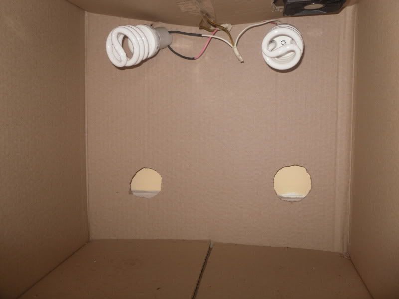 SDC10809.jpg