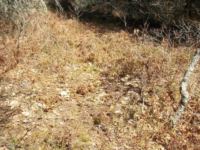site2.jpg