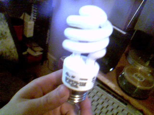 2009-03-15-46103.jpg