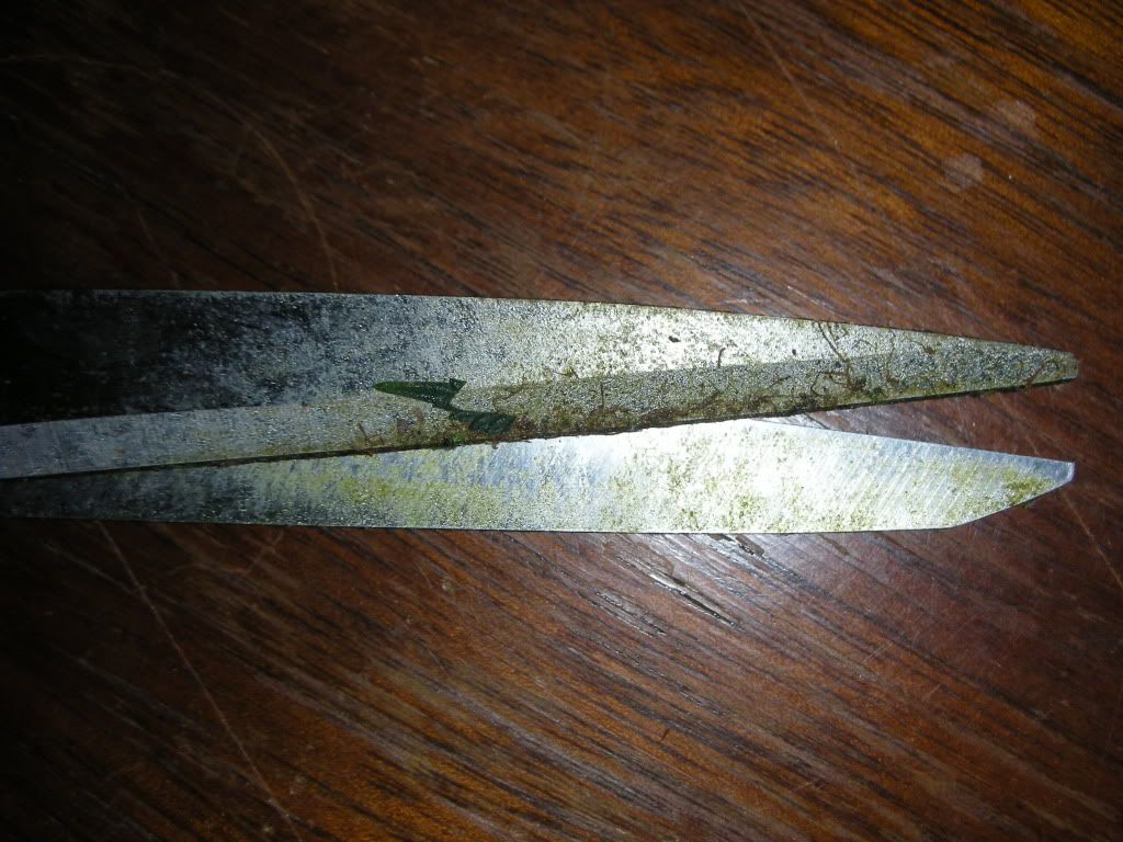 DSCN2539.jpg
