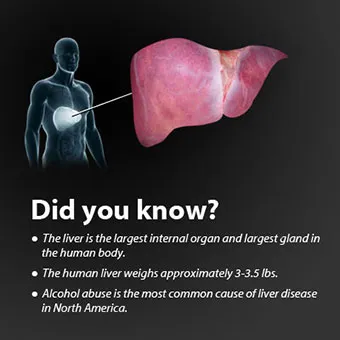 liver-disease-s1a-did-you-know.jpg