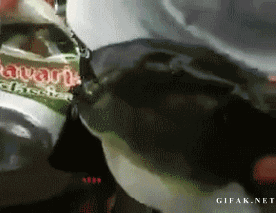 7Zpk9AF.gif