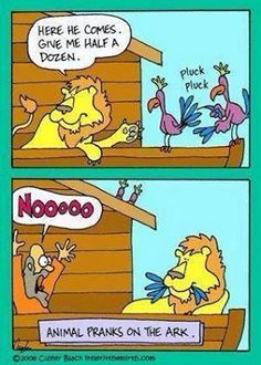 29e6e2134d42e5c3eab8f655c160ce1f--noah-ark-christian-humor.jpg