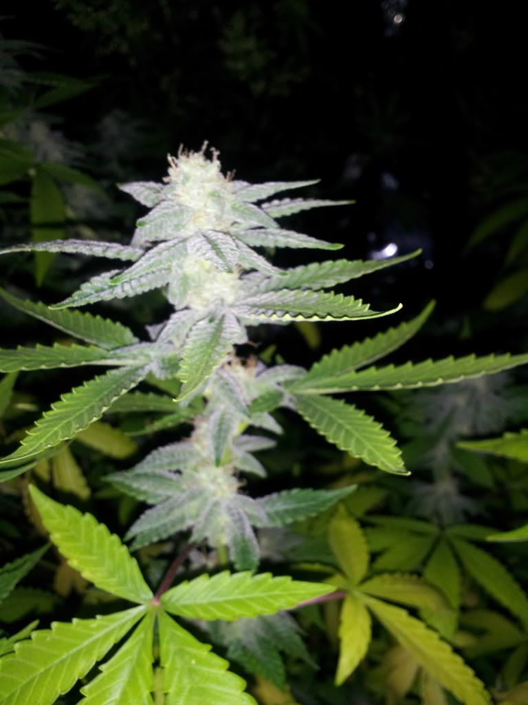 20120712_145404.jpg