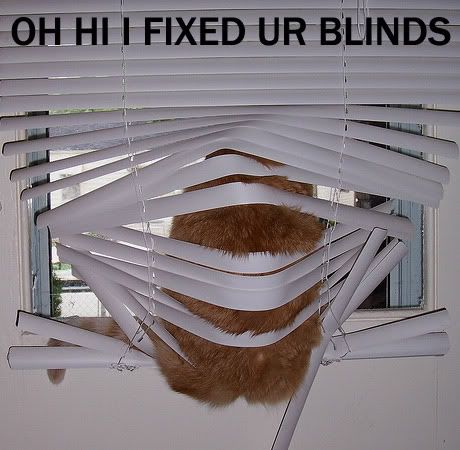 blindsxp0.jpg