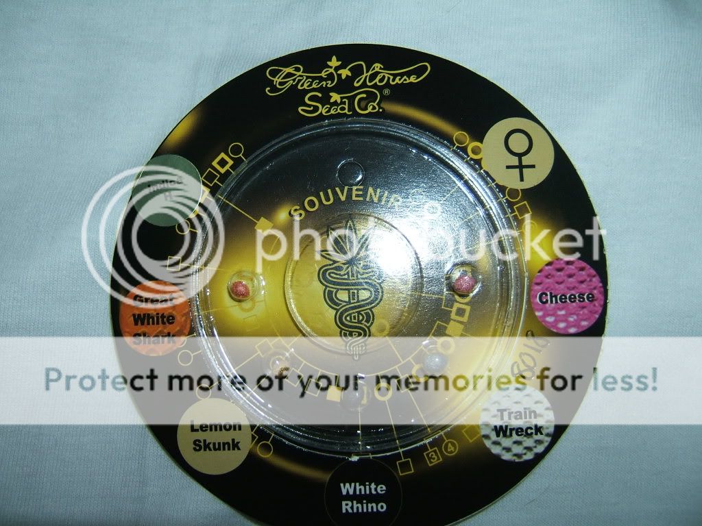 DSCF2816.jpg
