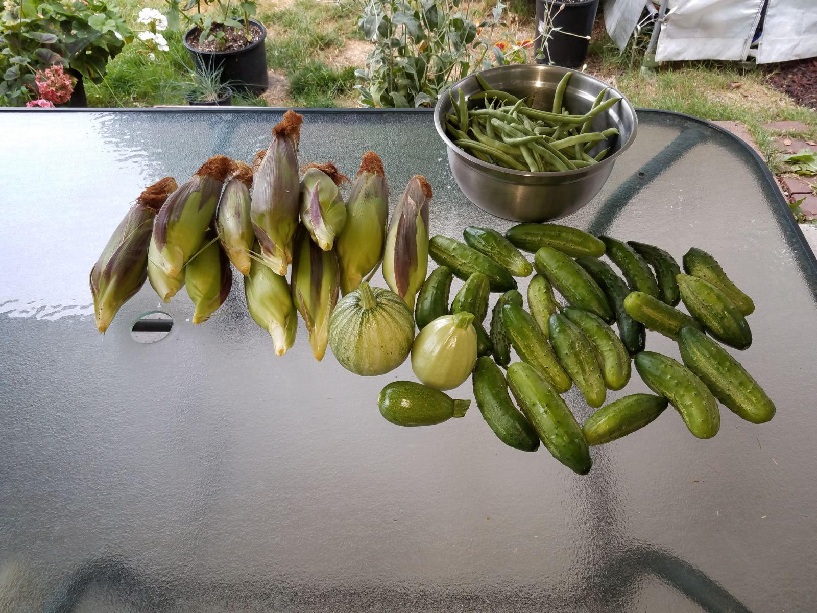 harvest81519.jpg