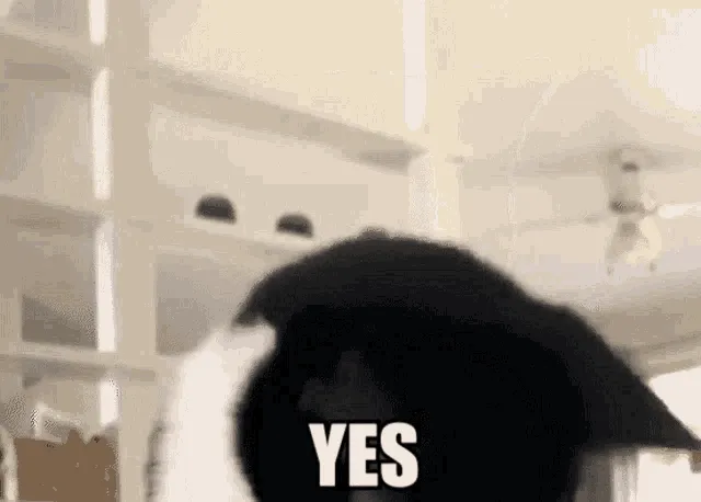 J6JyA.gif