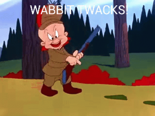 elmer-fudd-hunter.gif