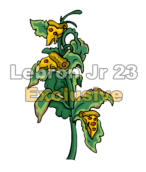 test.png