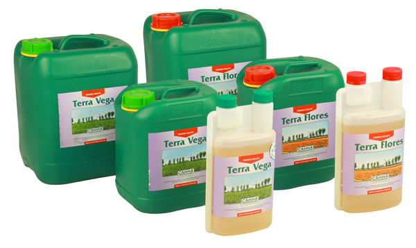 terra-vega-flores.jpg