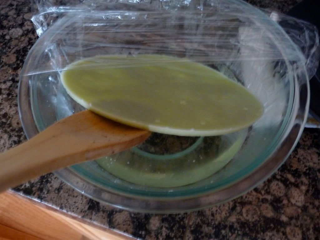 P1000264.jpg