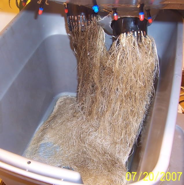 000_1106.jpg