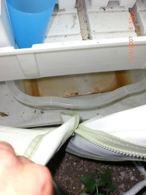 drain.jpg