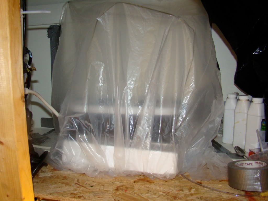 DSC01234.jpg