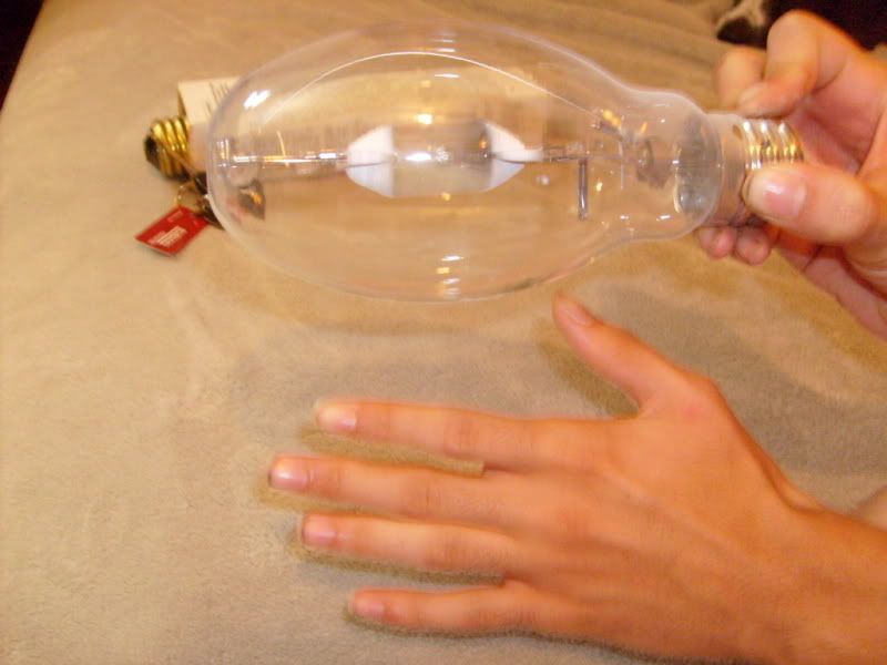 S6302336.jpg