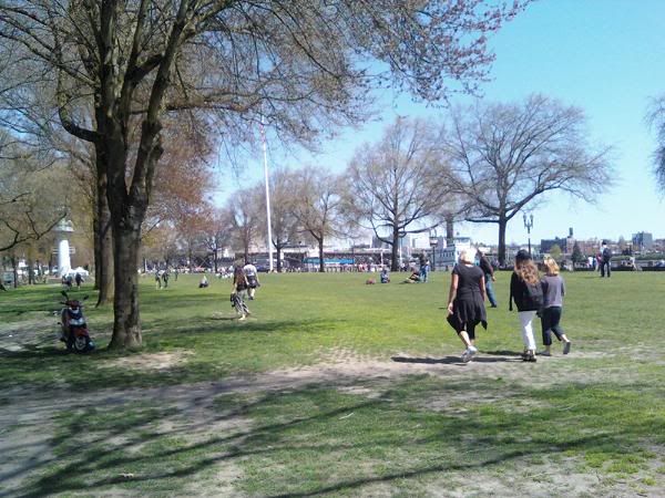 downsized_0423011211.jpg
